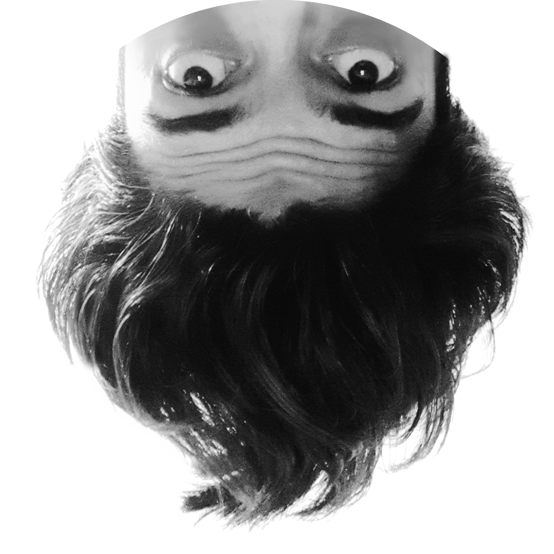 picture profile